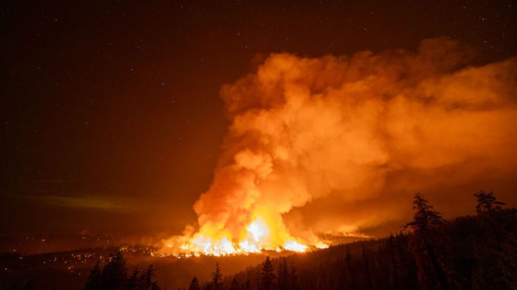 A massive wildfire lights up the night sky with bright orange flames and smoke, with a dark forest silhouette in the foreground and stars visible in the clear sections of the sky