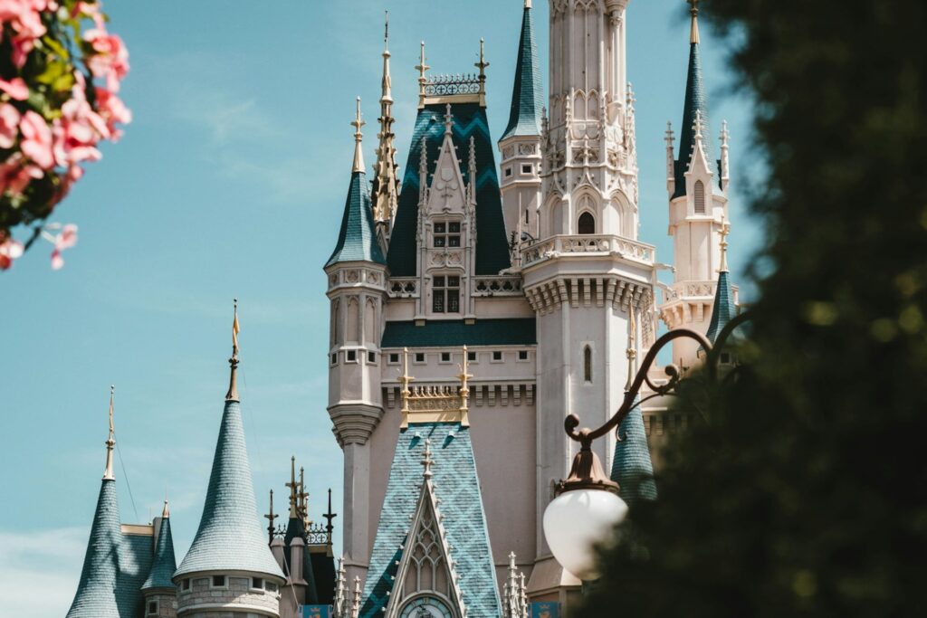 Partially obscured Disneyland castle