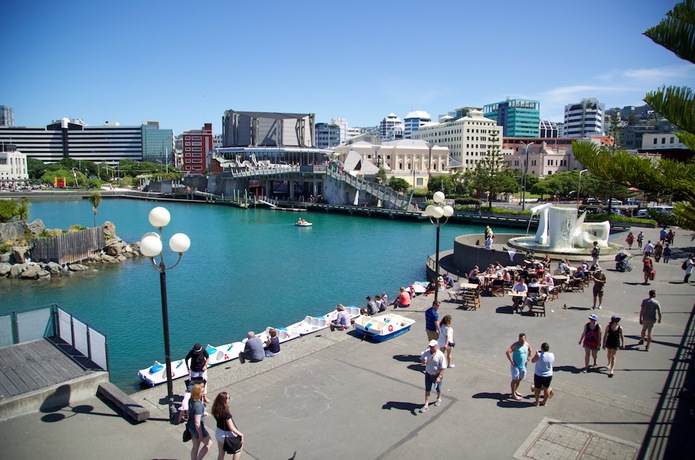 See Something Special in Wellington, New Zealand