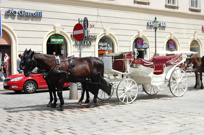 Inspiration in Vienna, Austria