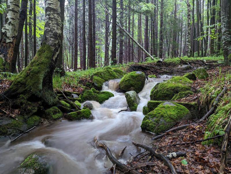 Mount Vitosha