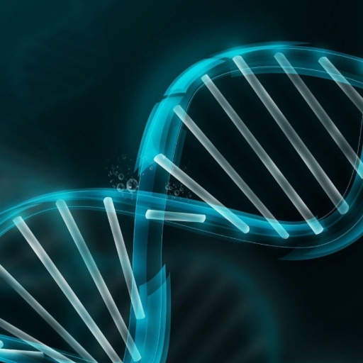 bio