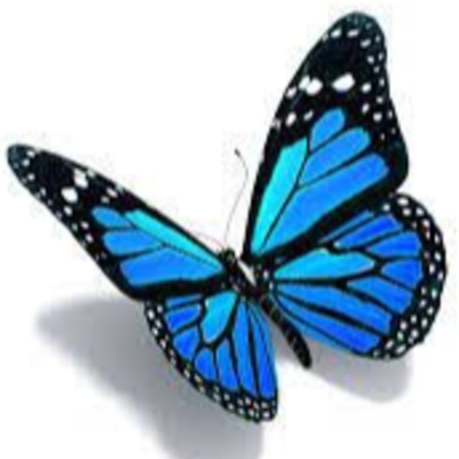bio