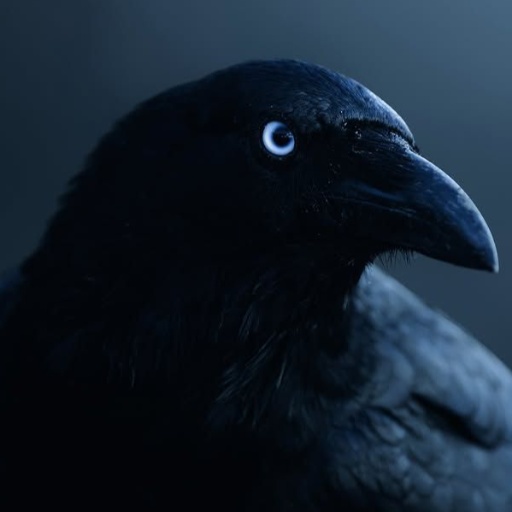 bio