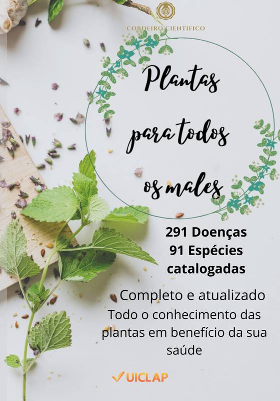 Plantas para todos os males