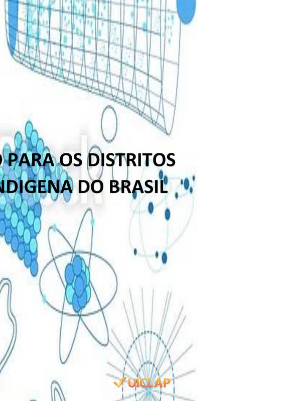 ESTRATÉGIA DE GESTÃO PARA OS DISTRITOS SANITÁRIO ESPECIAL INDIGENA DO BRASIL