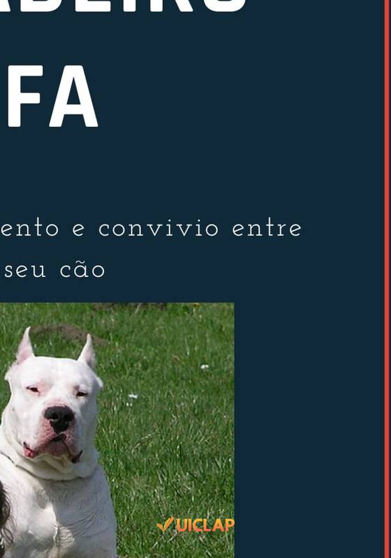 Seja você um verdadeiro Alfa