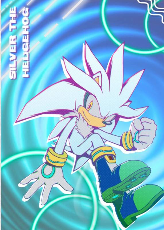 Caderneta personalizada - Silver the Hedgehog