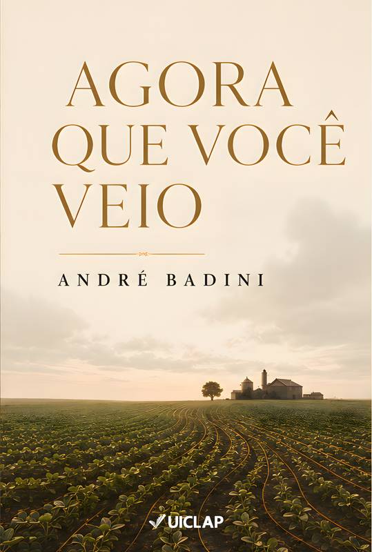 Capa do livro Agora que você veio