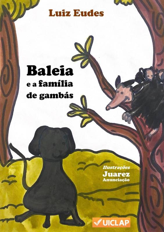capa