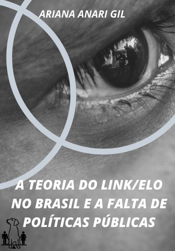 A TEORIA DO LINK/ELO NO BRASIL E A FALTA DE POLÍTICAS PÚBLICAS