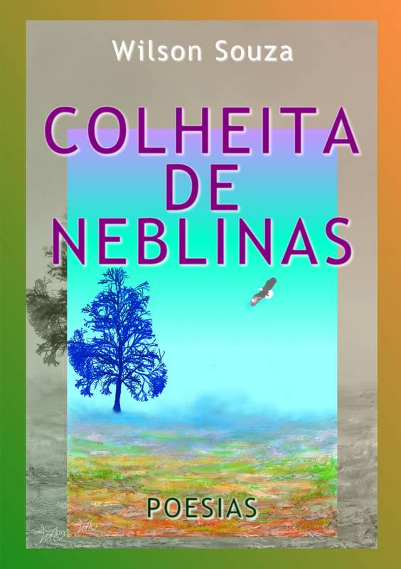 Colheita de Neblinas