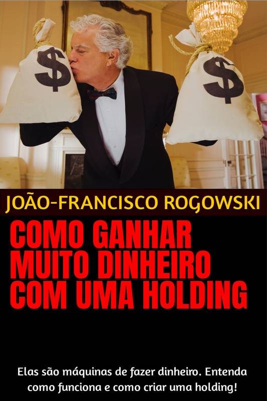 COMO GANHAR MUITO DINHEIRO COM UMA HOLDING