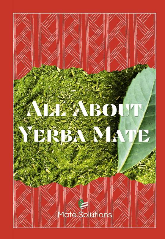 All About Yerba Mate
