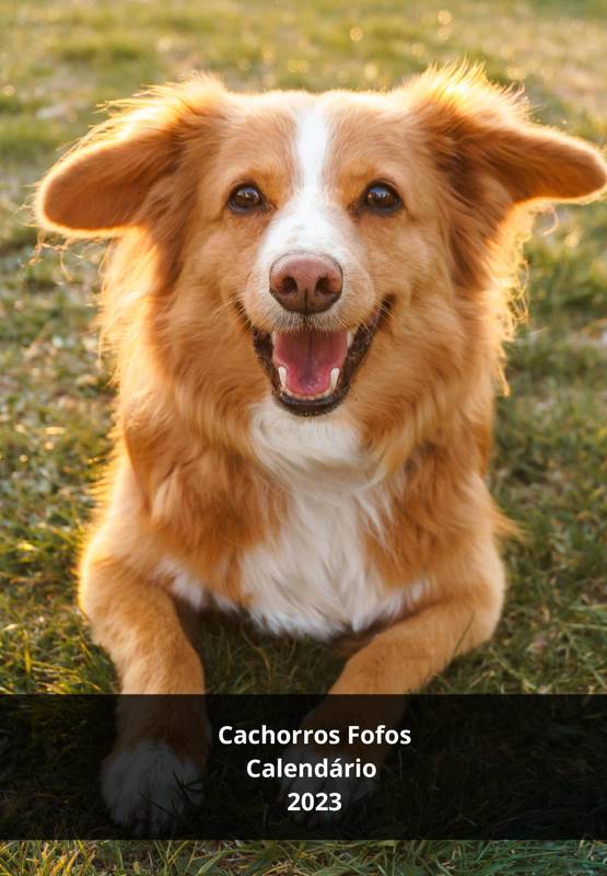 Calendário 2023 Cachorros Fofos