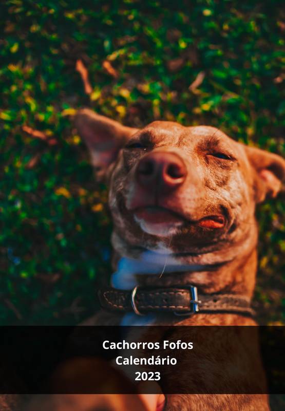 Calendário 2023  Cachorros Fofos