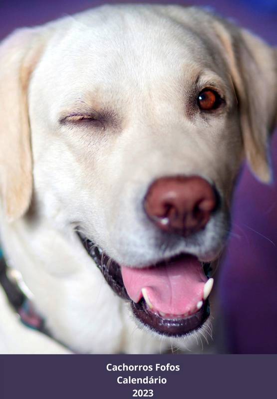 Calendário 2023 Cachorros Fofos