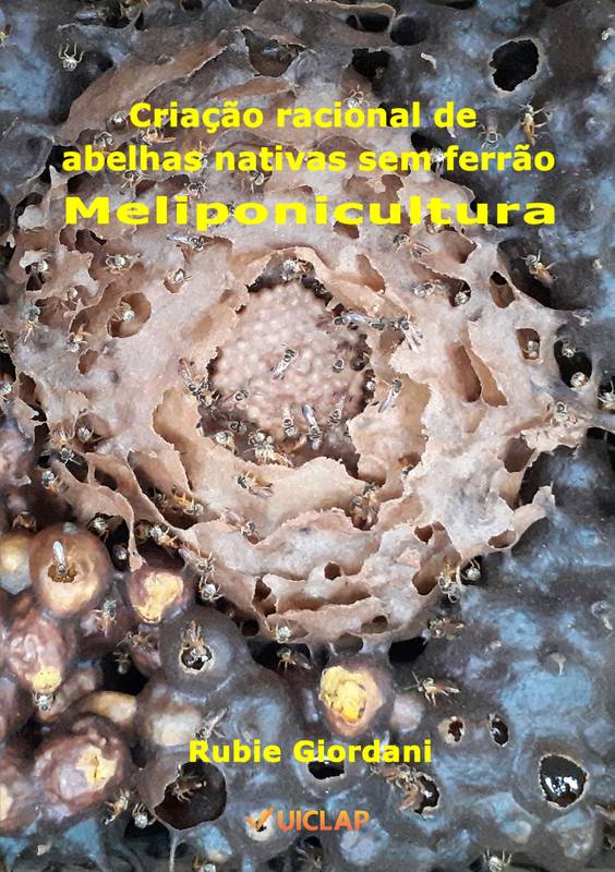 Criação racional de abelhas nativas sem ferrão