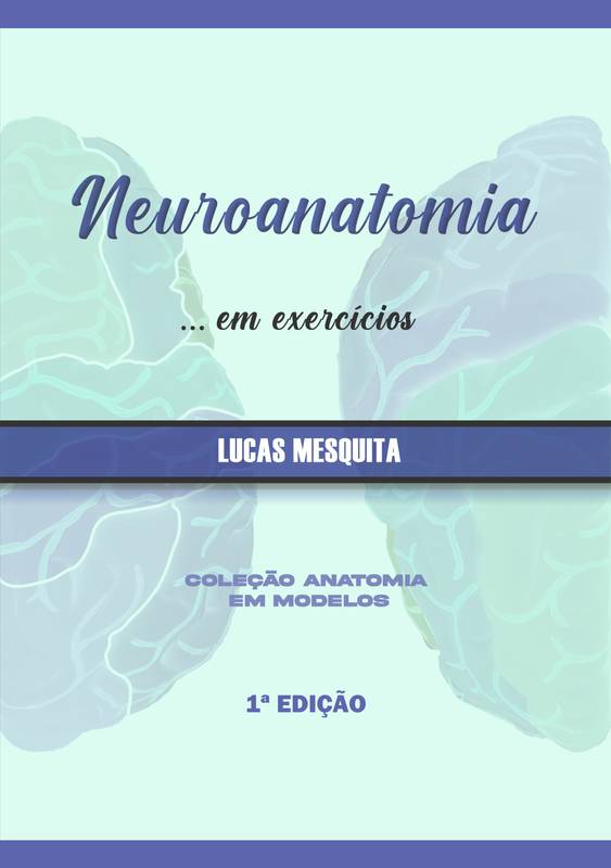 Neuroanatomia em exercícios