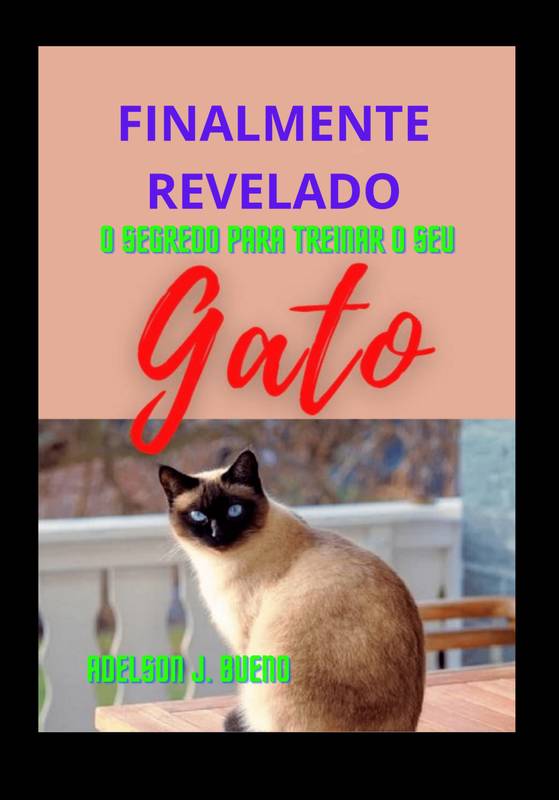 FINALMENTE REVELADO O SEGREDO PARA TREINAR O SEU GATO