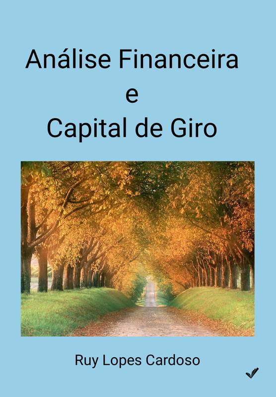 Análise Financeira e Capital de Giro