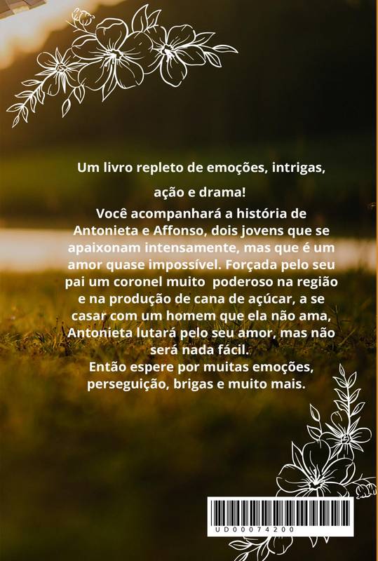 Conflitos do Amor - eBook