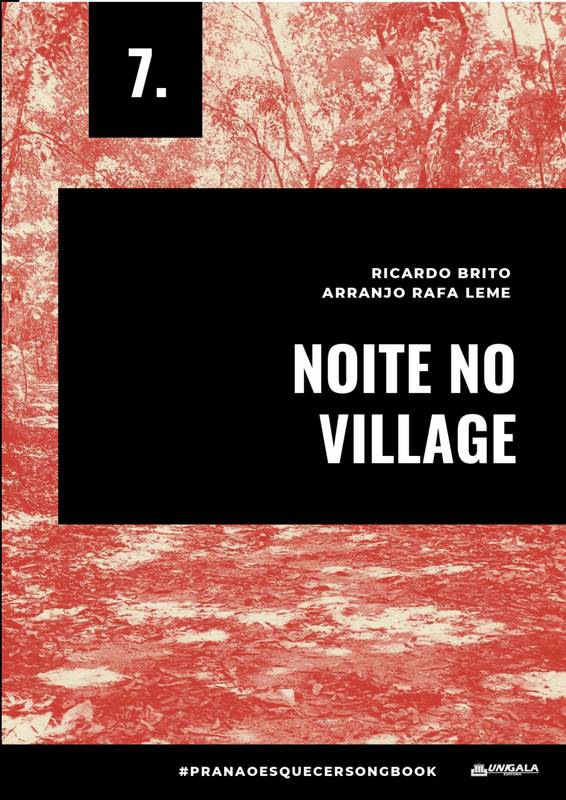 Noite no Village