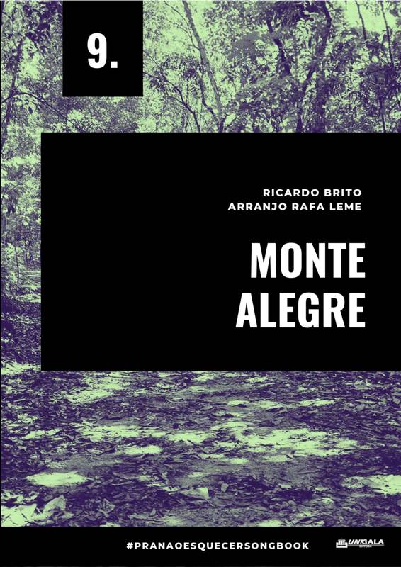 Monte Alegre