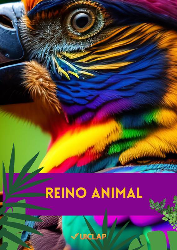 Reino Animal