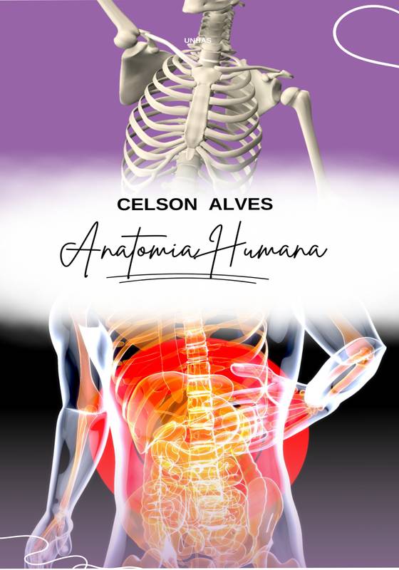 Anatomia Humana