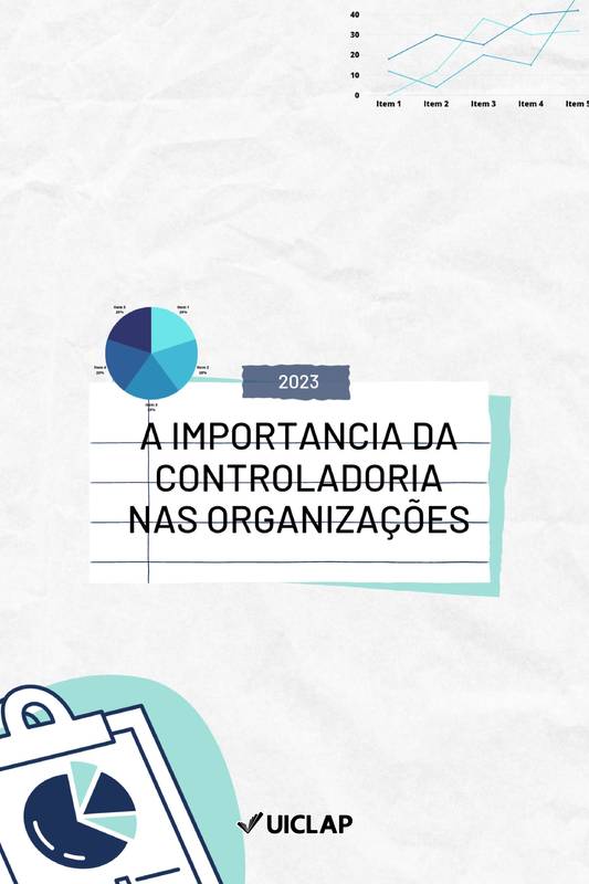 A Importância da Controladoria nas Organizações