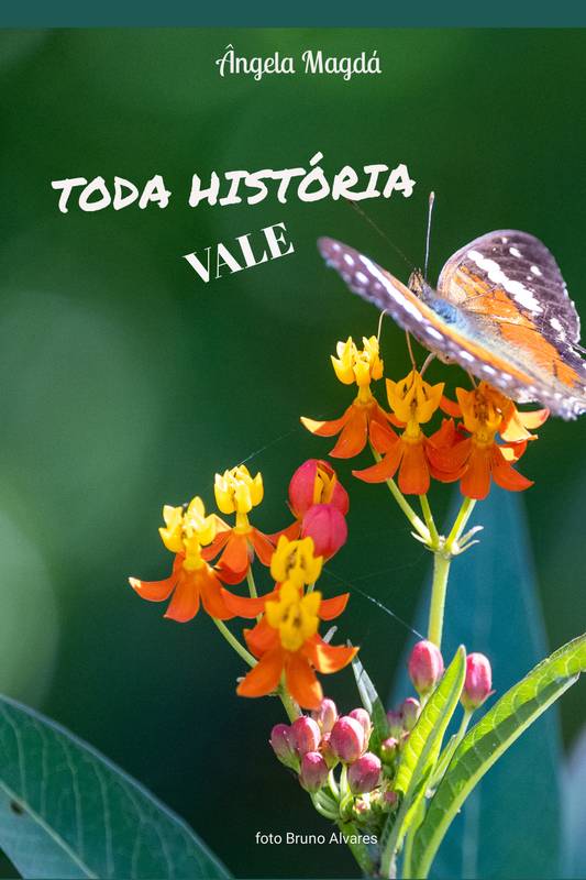 Toda história vale