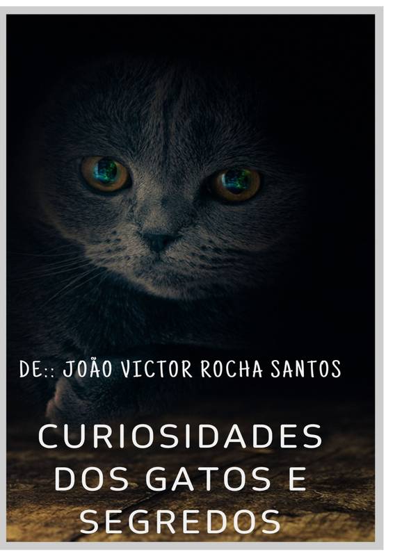 CURIOSIDADES SOBRE OS GATOS E SEUS SEGREDOS