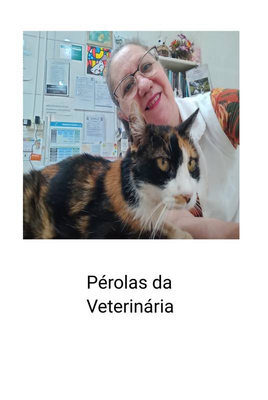 Pérolas da veterinária