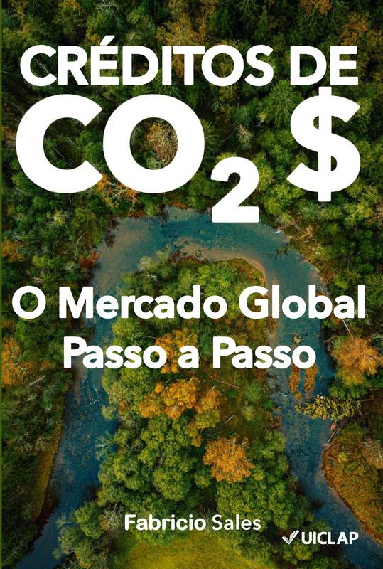 Créditos de Carbono: O Mercado Global Passo a Passo