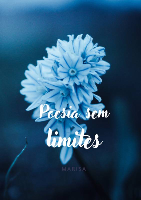 poesia sem limites