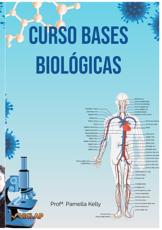 CURSO BASES BIOLÓGICAS