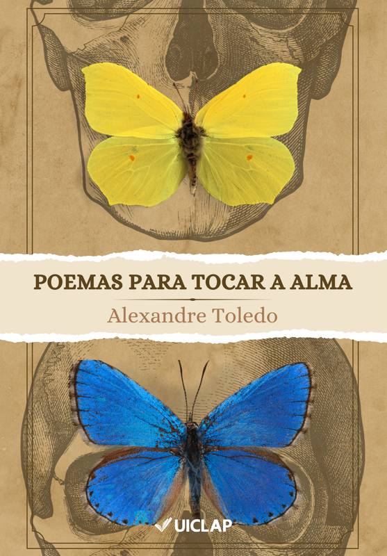 Poemas Para Tocar a Alma