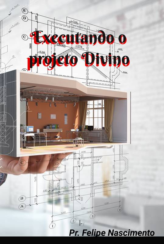 Executando o projeto Divino