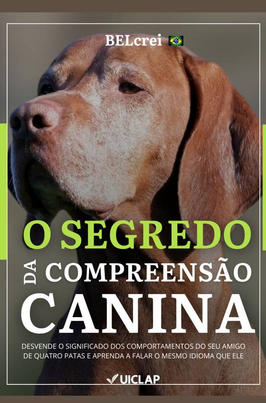 O SEGREDO da Compreensão Canina