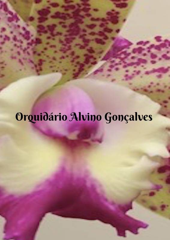 Orquidário Alvino Gonçalves