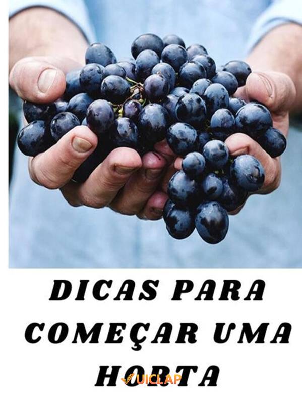 Dicas para começar uma horta orgânica