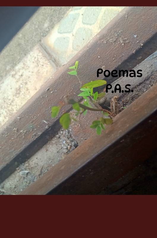 Poemas