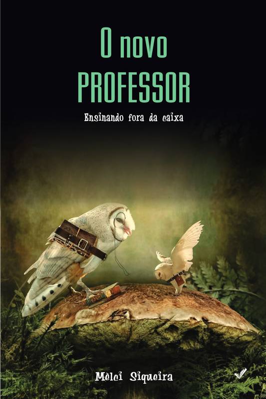 O Novo Professor