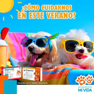 One of the top publications of @mimascotamivida which has 14 likes and 0 comments