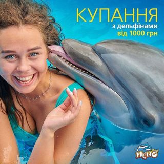 One of the top publications of @dolphinarium_nemo_kh which has 258 likes and 16 comments