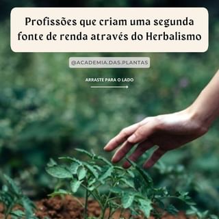 One of the top publications of @academia.das.plantas which has 89 likes and 2 comments