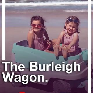 One of the top publications of @burleighwagon which has 441 likes and 245 comments