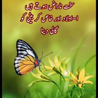 One of the top publications of @urdu.quote which has 293 likes and 2 comments