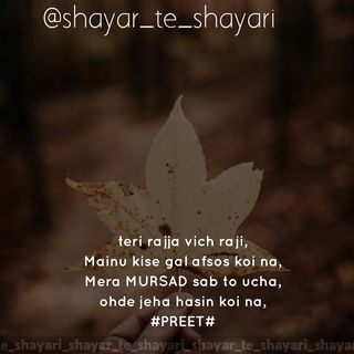 One of the top publications of @shayar_te_shayari which has 40 likes and 2 comments